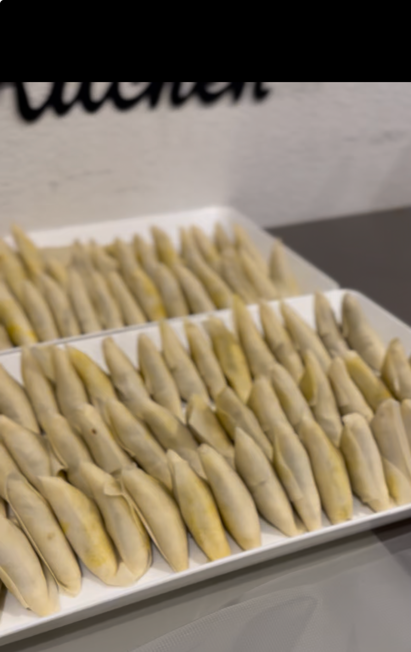 Frozen Samosa & SpringRoll